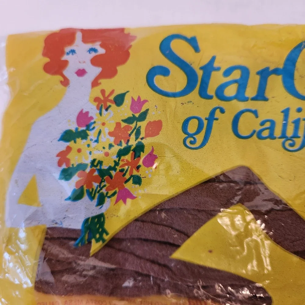 Vintage 1973 StarCrest of California Pantyhose Brown Rhapsody Queen Size 2 Pairs